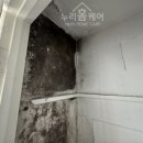 광명 탄성코트 하안동 주공 5단지 베란다 누수 페인트 떨어짐,결로 곰팡이 해결 시공 후기