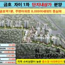 신금호역 이미지