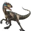 벨로시랩터 | 벨로시랩터, 실제 모습은 영화보다 작고 날렵한 공룡