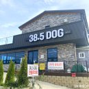 38.5DOG 이미지
