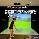 골프존파크 구례중앙점 | 평택 고덕 골프존파크 고덕하이앤점 역대급 시설 내돈내산 후기