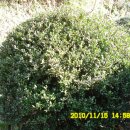 석전농장 이미지