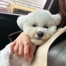 똑똑독 이미지