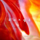 부촌횟집