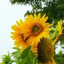 중원노인종합복지관 이미지