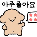 씨스앤도스 이미지