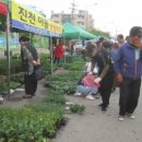 장호원 전통시장 이미지
