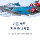서연 민박 | 12월 제주도 어디가 좋을까? 여행지 추천해요