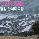 마지기로 | 강원 :: 평창 캠핑장 추천 육십마지기 차박캠핑 산너미목장 솔직 후기