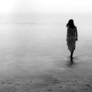 사랑의 노래 이미지