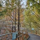 숲속한우마을 이미지