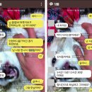 안경의 성 이미지