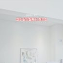 레푸스전주 이미지