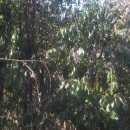 항균농장 이미지