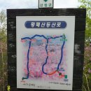 솔바람야영장 | 인기 백대명산 11위 황매산 철쭉(2010. 5. 15)/ 산림청