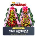 수림전국꽃배달 이미지