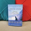 [서평] &lt;어메이징 브루클린&gt; 제임스 맥브라이드/민지현, 미래지향, 2022(2020), 500쪽