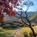 산자락 이미지