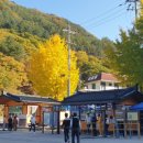 남한강 고운골 자연학습원 이미지