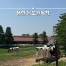 해게울 목장2 | 용인 농도원목장 아기와 갈만한 곳 5월 주말 예약 후기