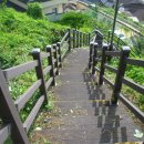 김천중앙초교 이미지