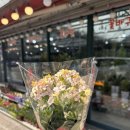 [성남 분당 화훼단지] 가성비 좋은 꽃천사화원