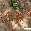 유수농장 이미지