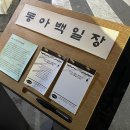 대구 교동 맛집 : 동아식당 후기, 계란김밥, 김치 볶음밥, 된장 비빔면,고등어 소면