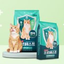 주식회사 베스트 이미지