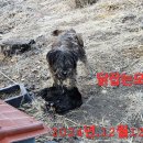 위촌2리 이미지