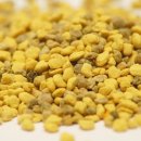 화분인간 이미지