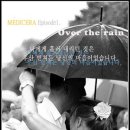 메디세라 Daum카페