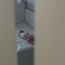 장인가구 하랑 데이베드 냄새 후기 아들 침대 몬테소리