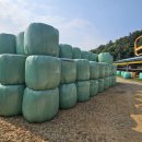 경영축산 이미지