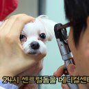 센트럴종합동물병원 이미지