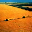 한미농장 이미지