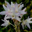 비천농장 이미지