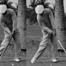 벤호건 스크린골프 이미지