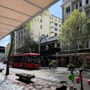 이든시티 | 뉴질랜드 오클랜드 여행 마운트 이든 Mount Eden 다녀온 후기