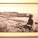 포토갤러리자연사랑미술관 이미지