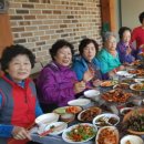 김미옥 농장 이미지