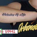 멜로디스
