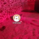 현대불가마사우나 이미지