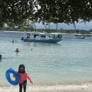 포인트 | 길리 트라왕안 터틀포인트 후기 | 6살 아이와 거북이 스노클링 감동 여행