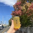 읍천리 382 대가대점 이미지