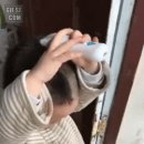 예술이발