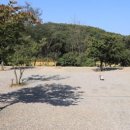 은빛초원캠핑장 이미지