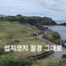 신양섭지코지해변 | 제주 섭지코지 산책코스｜초록 언덕과 해안 절벽이 만든 제주 동쪽 명소