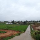 한정초교 이미지