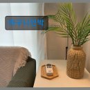 11650-17-197-38 | 제주시 도두동 민박 바구니민박 가성비 좋은 제주 숙소